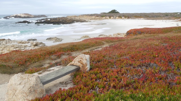 Rocky escarpado océano costa mar olas monterey california banco vacío de madera