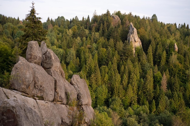 Rocky-Mountains-Nationalpark