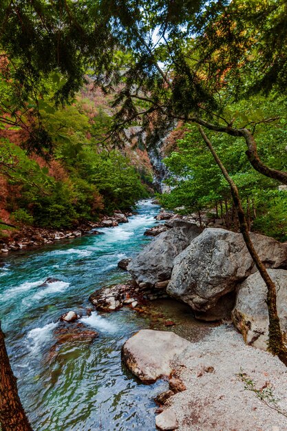 Foto rocky mountains river belas paisagens