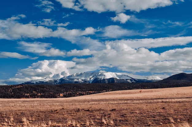 Foto rocky mountains von der straße