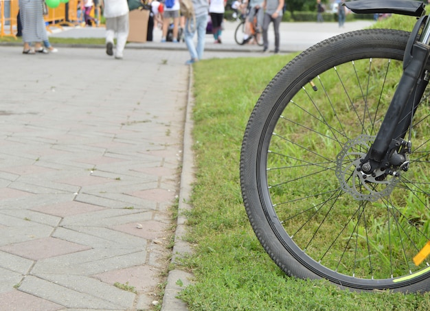 Roda de bicicleta, parte, fora, em um dia de verão