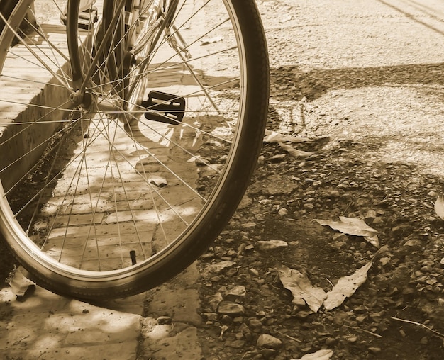 Foto roda de bicicleta