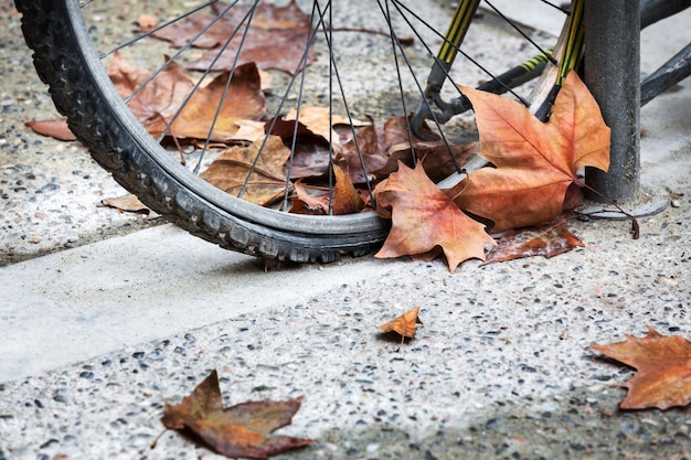 roda de bicicleta