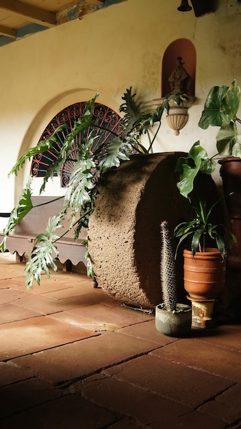 Roda de pedra entre vasos e plantas em uma casa velha no méxico américa latina