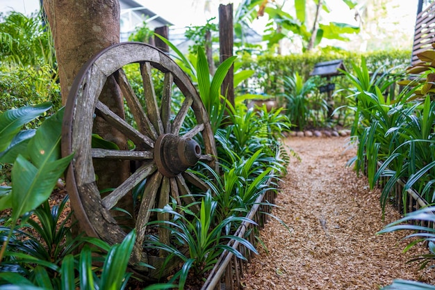 Roda decorativa de um carrinho no pátio de um jardim tropical no dia de verão na tailândia