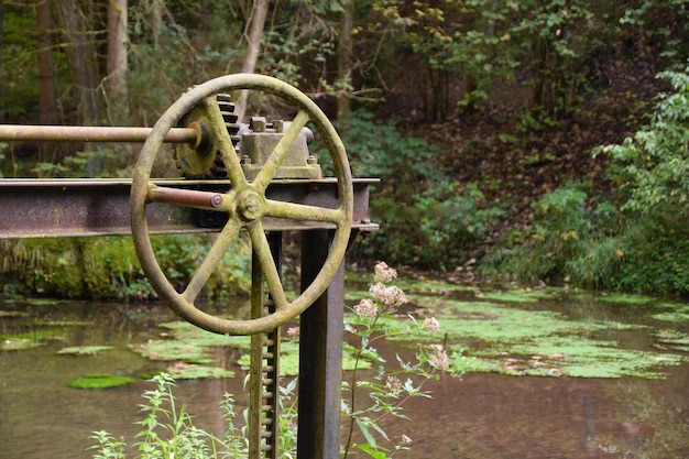 Foto roda enferrujada ao lado do lago contra as árvores