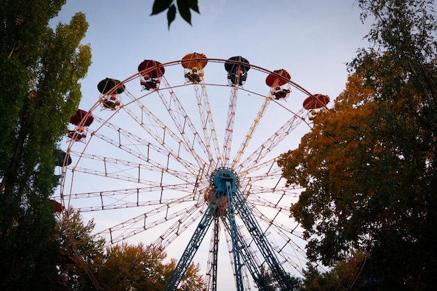 Roda gigante na floresta. outono