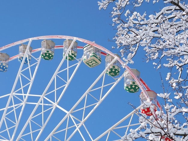 Roda-gigante no inverno contra o céu azul e galhos com neve na cidade de Kharkiv Ucrânia
