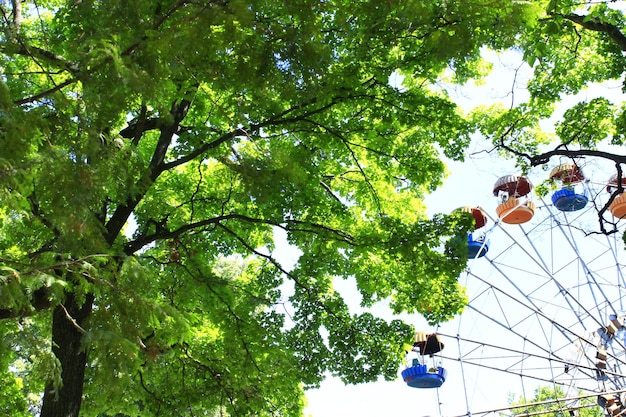 roda gigante no parque com árvores