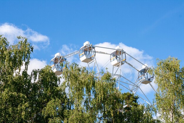 Roda gigante sobre as copas das árvores no parque