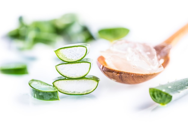 Rodajas de aloe vera con gel sobre fondo blanco.