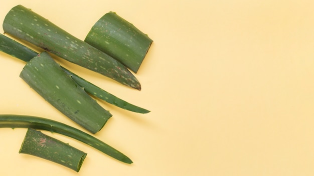 Rodajas frescas verdes de aloe vera sobre fondo amarillo