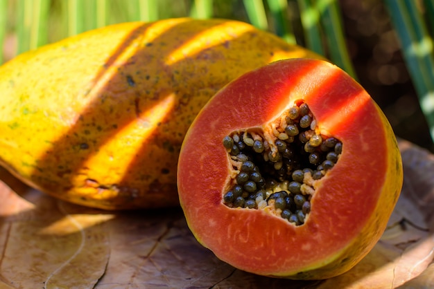 Rodajas de papaya con granos. Productos ecológicos saludables.