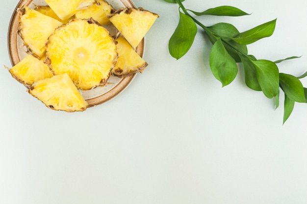 Foto rodajas de piña en un plato cerca de la ramita de la planta