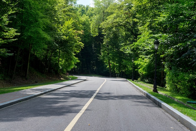 Rodovia através da floresta de verão. árvores verdes ao lado da estrada indo para cima.