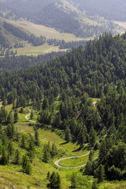 Rodovia através das montanhas altas montanhas e uma floresta verde em um dia quente de verão em cada lado.