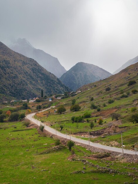 Rodovia através do conceito de caminho natural das colinas de outono para t