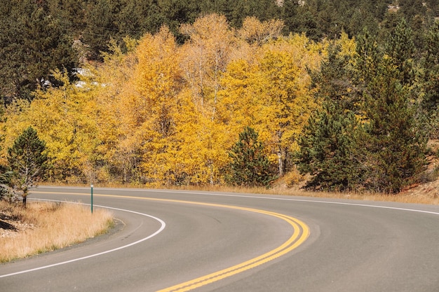 Rodovia no outono no Colorado EUA