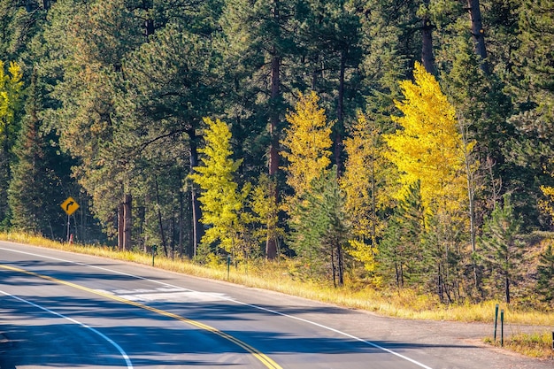 Rodovia no outono no Colorado EUA