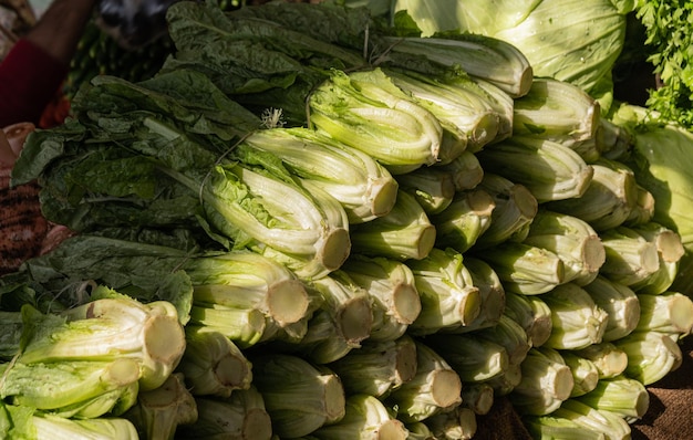 Römersalat auf dem lokalen Markt