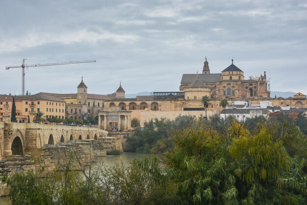 Römische Brücke über den Guadalquivir und Mesquite in Cordoba