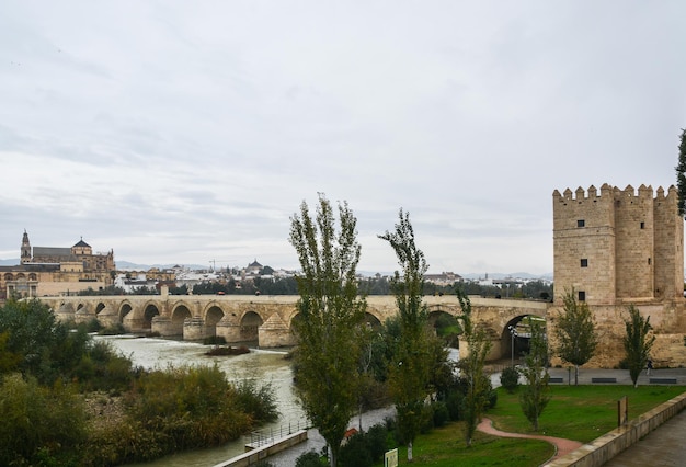 Römische Brücke über den Guadalquivir und Mesquite in Cordoba