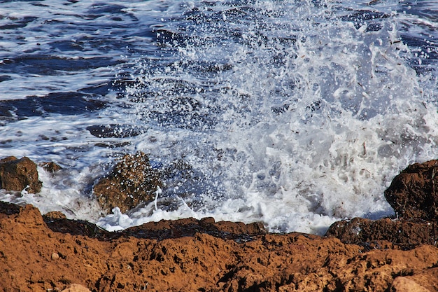 Römische Ruinen Tipaza des Steins und des Sandes in Algerien, Afrika