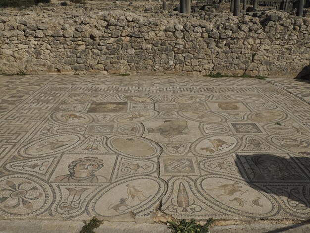 Römische Ruinen von Volubilis in Marokko - Die am besten erhaltenen römischen Ruinen zwischen den Kaiserstädten Fes und Meknès