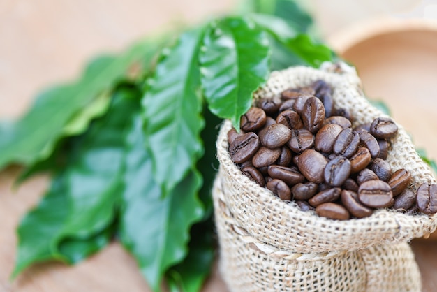 Röstkaffee im Sack mit grünem Blatt auf Holztischhintergrund morgens