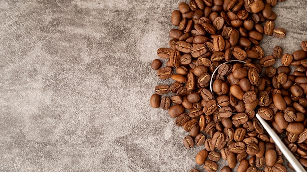 Röstkaffeebohnen der Draufsicht mit Kopienraum