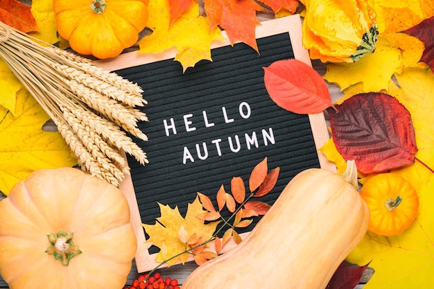 Foto roggen, kürbisse, buntes laub und briefkarton mit worten hallo herbst.