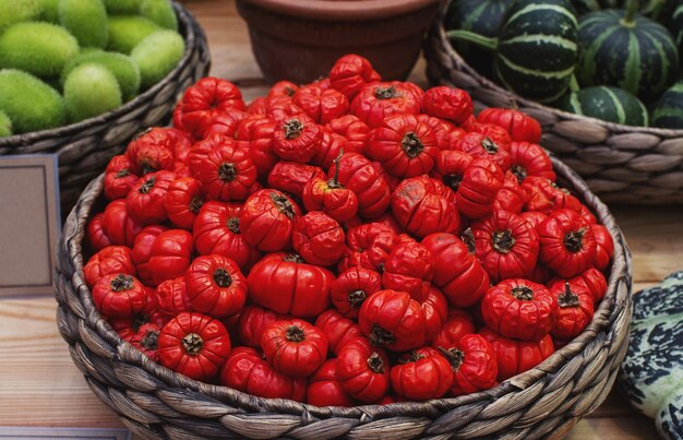 Rohe Bio-Tomaten, die in der Sonne im Korb trocknen, ernten gesunden Lebensstil, reifes Gemüse, selektiver Fokus