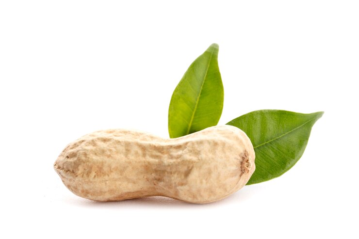 Rohe Erdnüsse auf weißem Hintergrund mit grünem Blatt. Gesunder Snack ona weißer Hintergrund. Ansicht von oben. Nahaufnahme.