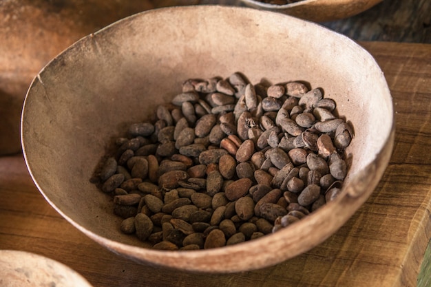 Rohe Kakaobohnen in einer Tasse bereit für die Schokoladenzubereitung