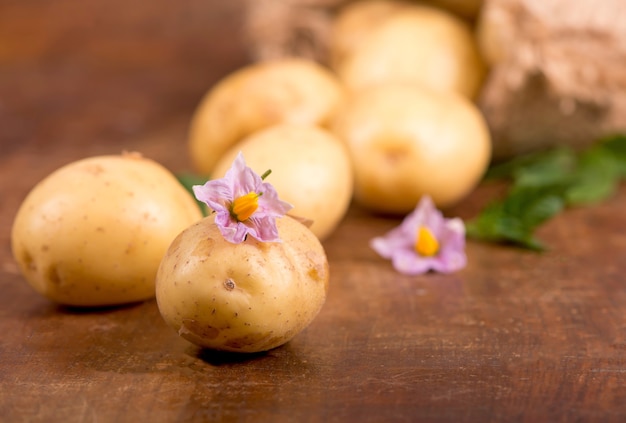 Rohe Kartoffeln mit Blumen auf dem hölzernen Hintergrund
