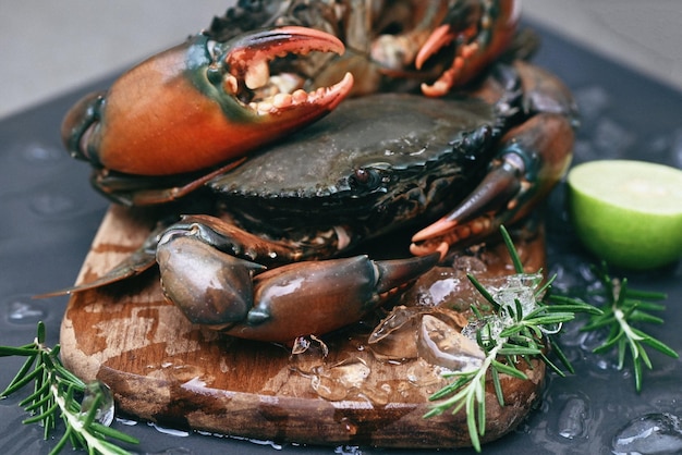 Rohe Krabbe auf Holzschneidebrett Hintergrund frische Schlammkrabbe mit Eis zum Kochen von Speisen im Fischrestaurant