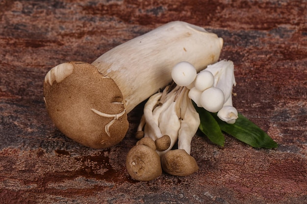 Roher asiatischer Pilz bereit zum Kochen