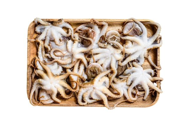 Foto roher baby-oktopus isoliert auf weißem hintergrund