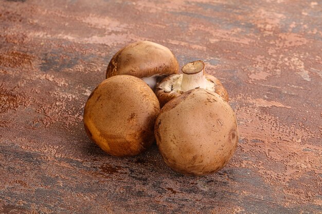 Roher brauner Champignons-Pilzhaufen