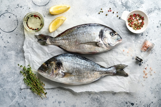 Roher Dorado frischer Fisch oder Dorade mit Zutaten für die Herstellung von Zitrone, Thymian, Knoblauch, Kirschtomate und Salz auf hellgrauem Schiefer, Stein oder Betonhintergrund. Draufsicht mit Kopienraum.