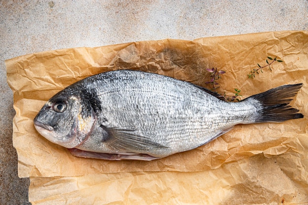 Roher Fisch Meerbrasse frische Meeresfrüchte Mahlzeit Essen Snack auf dem Tisch Kopie Raum Essen Hintergrund rustikale Spitze