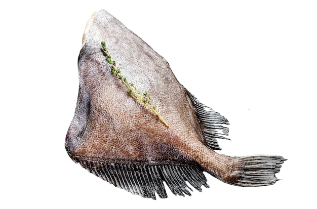 Foto roher frischer ganzer john-dory-fisch mit gewürzen und kräutern zum kochen isoliert auf weißem hintergrund