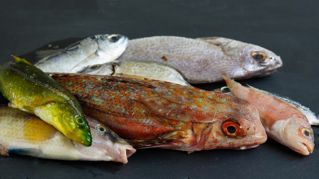 roher frischer Seefisch bunt auf dem schwarzen Schieferschreibtisch