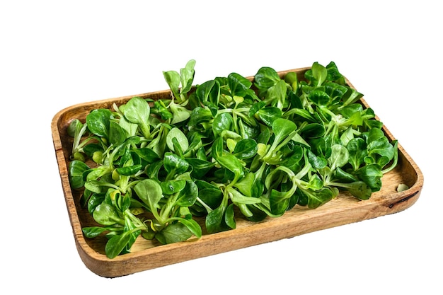 Roher grüner Feldsalat Feldsalatblätter in einem Holztablett isoliert auf weißem Hintergrund