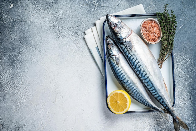 Roher Makrelen-Scomber-Fisch mit Zutaten zum Kochen in Auflaufform Weißer Hintergrund Draufsicht Kopierbereich