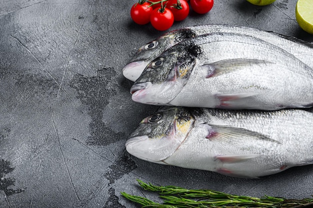 Roher Satz von Seebrasse oder Goldbrasse orata Fisch mit Kräuterpfefferlimettentomate zum Kochen und Grillen auf grau strukturiertem Hintergrund, Seitenansicht mit Platz für Text.