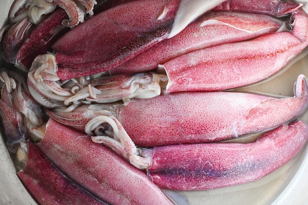 Roher Tintenfisch auf Tellerhintergrund, frische Tintenfische, Tintenfische oder Tintenfische für gekochte Speisen im Restaurant oder auf dem Fischmarkt