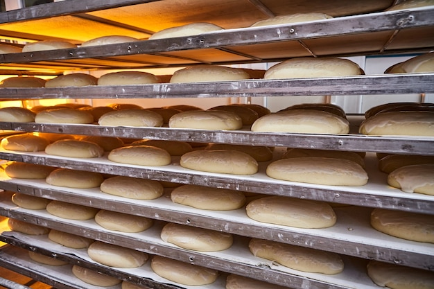 Rohes Teigbrot auf einem Backblech vor dem Backen im Ofen bei der Herstellung