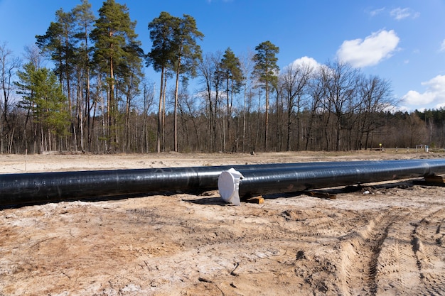 Foto rohöl- und erdgaspipelinebauarbeiten im waldgebiet. petrochemisches rohr auf holzstützen. installation und bau der pipeline für den transport von gas zur lng-anlage