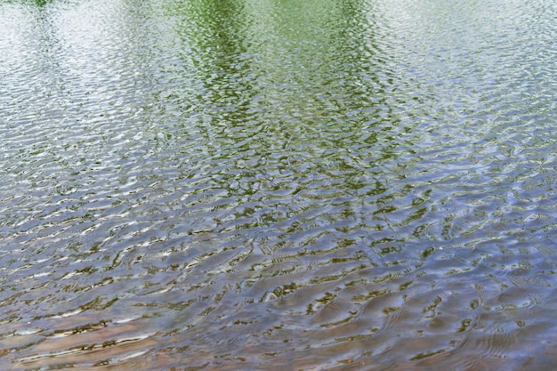 Rohwasserbeschaffenheit im Sommer an einem sonnigen Tag.